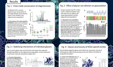 2014 poster hiv 1 glycan shield laura pritchard