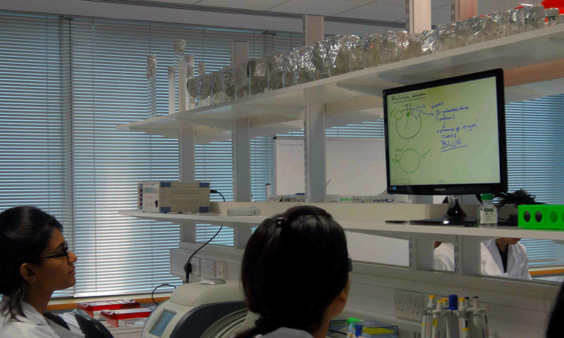 Students working at their lab bench with one of the screens broadcasting what is on the main smartboard. Photo with kind permission from the Nuffield Department of Obstetrics and Gynaecology (all rights reserved).